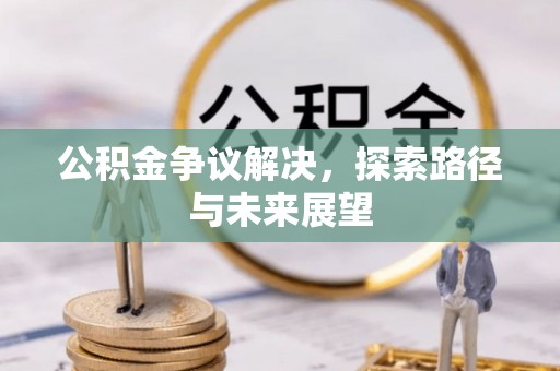 优质公积金争议解决，探索路径与未来展望