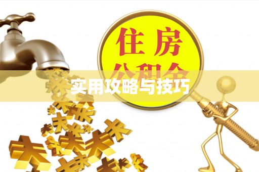 优质实用攻略与技巧