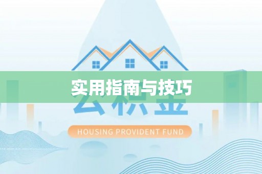 优质实用指南与技巧