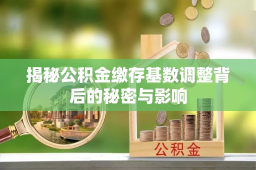 优质揭秘公积金缴存基数调整背后的秘密与影响