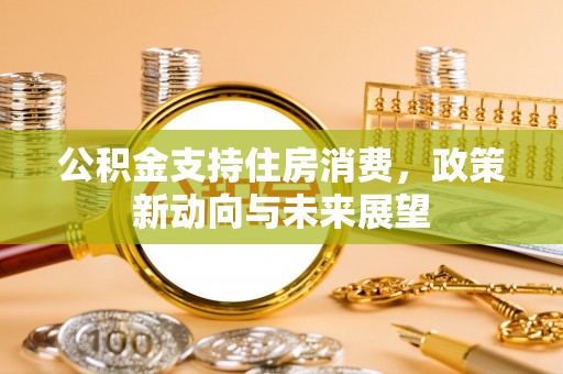 优质公积金支持住房消费，政策新动向与未来展望