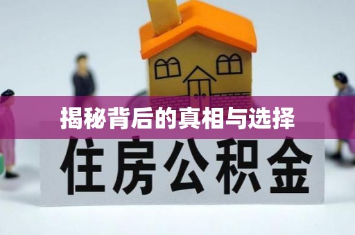 优质揭秘背后的真相与选择