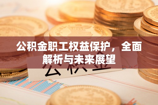 优质公积金职工权益保护，全面解析与未来展望
